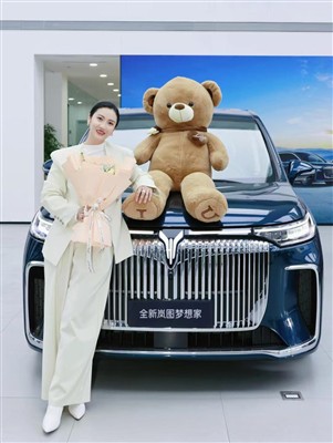 Hogyan lehet módosítani a Lantu Dreamer belsejét